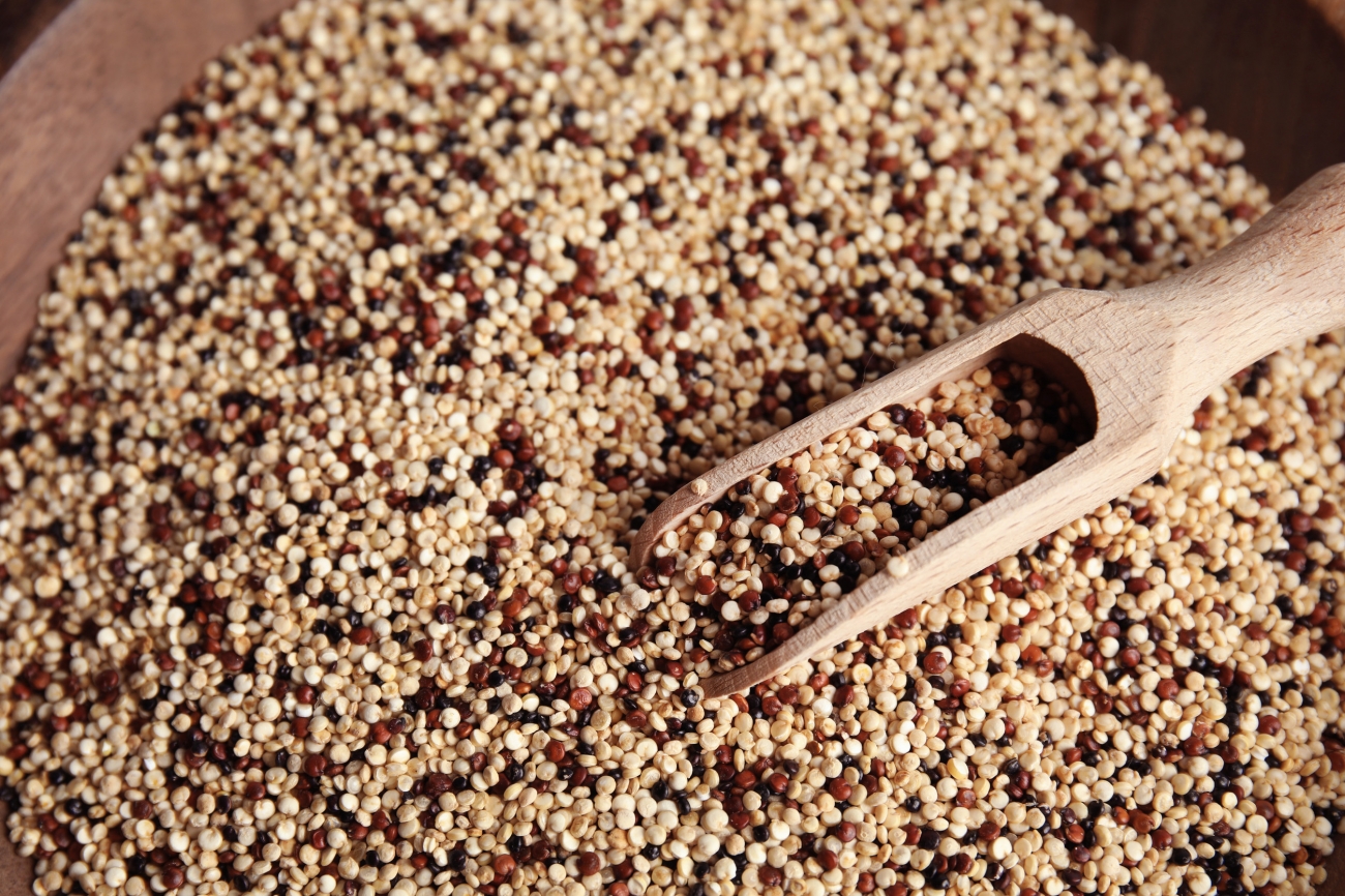 藜麥 Quinoa